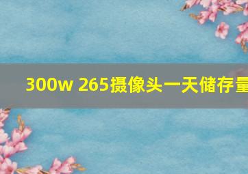 300w 265摄像头一天储存量